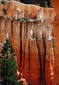 C007  N.P. Bryce canyon